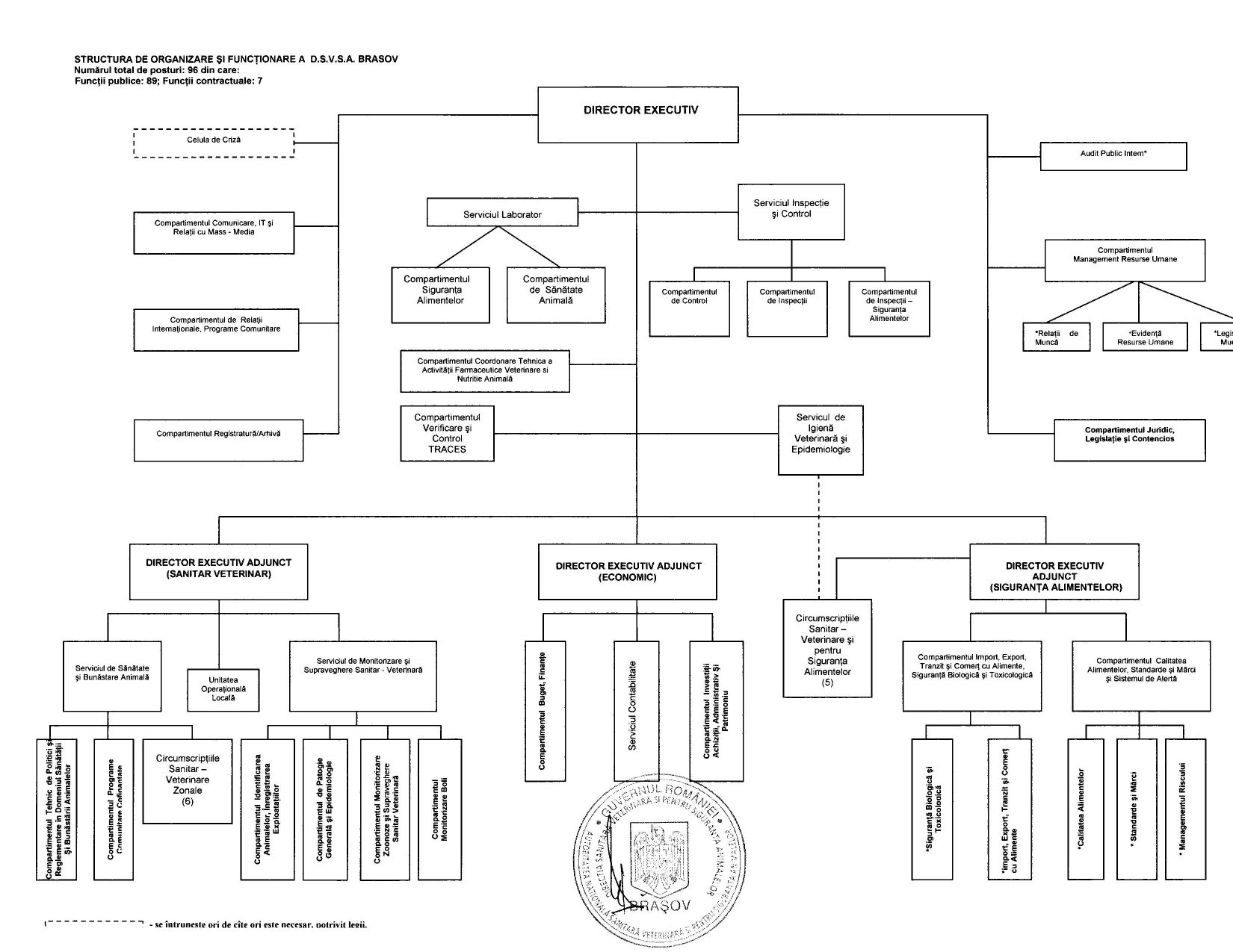 Structura organizatorica DSV